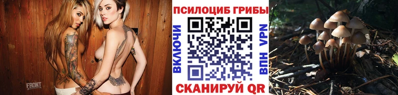 закладки  Домодедово  Галлюциногенные грибы Magic Shrooms 